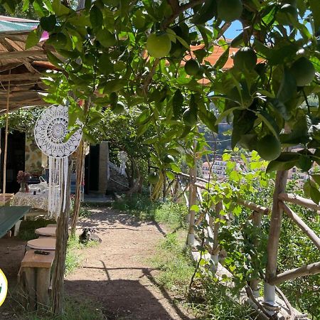 Cetara Camping Amalfitan Coast Hotel Luaran gambar